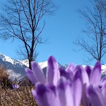 Apartmán Apartament Akuratny Zakopane Exteriér fotografie